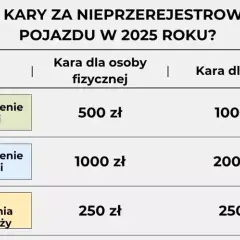 Konsekwencje nieterminowego przerejestrowania samochodu – terminy i obowiązki