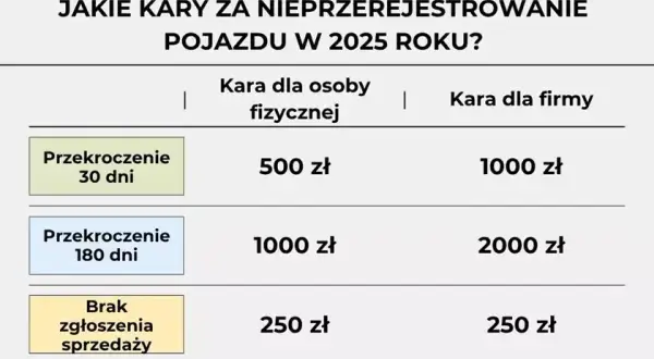 Konsekwencje nieterminowego przerejestrowania samochodu – terminy i obowiązki